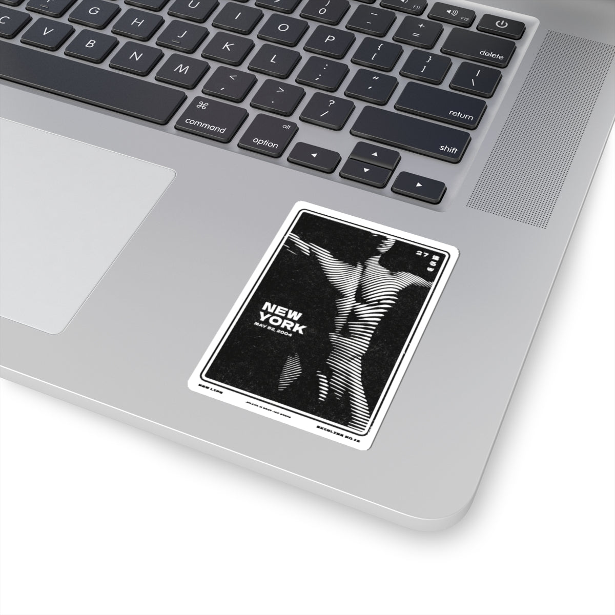 SKINLINE No.12 – Vinyl Art Sticker