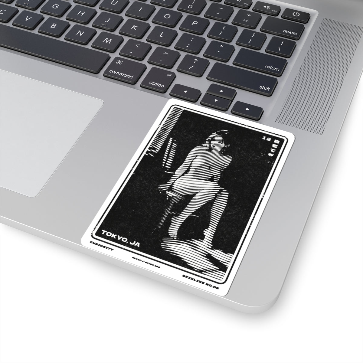 SKINLINE No.02 – Vinyl Art Sticker