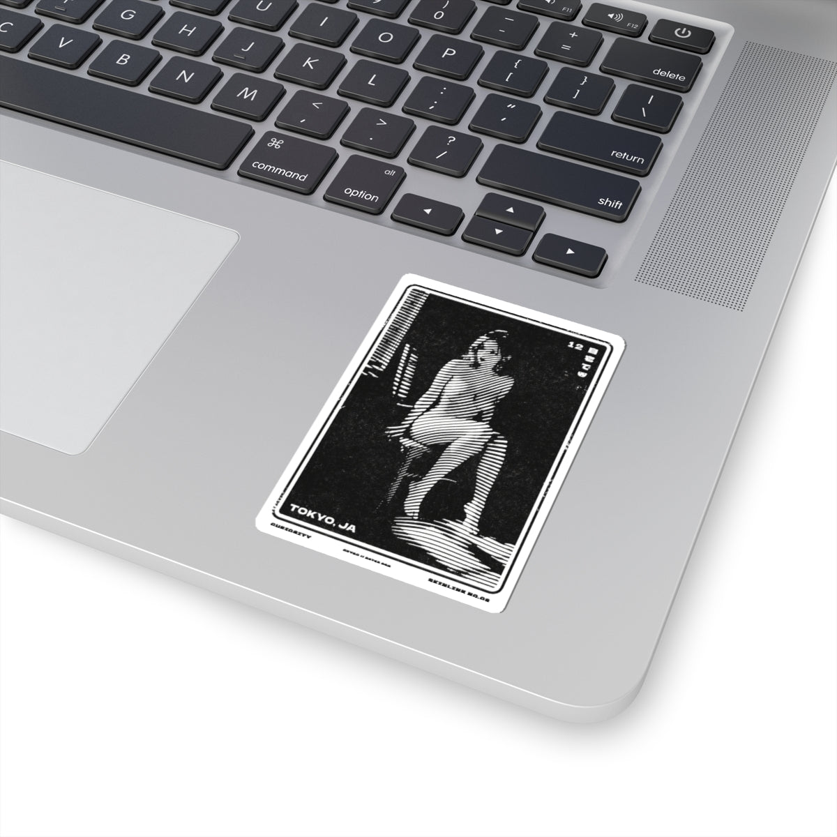 SKINLINE No.02 – Vinyl Art Sticker